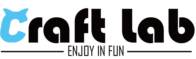 Craft Lab – Joy In Fun !